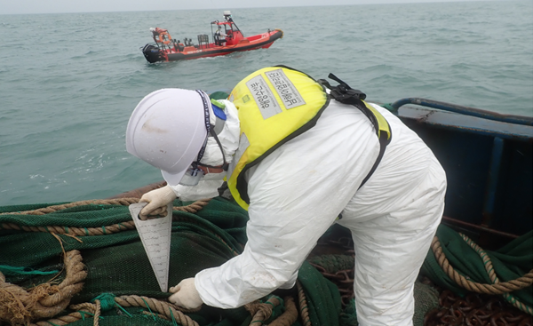 해양수산부 남해어업관리단 직원이 나포한 중국 어선에서 그물코 규격을 확인하고 있다./출처=해양수산부